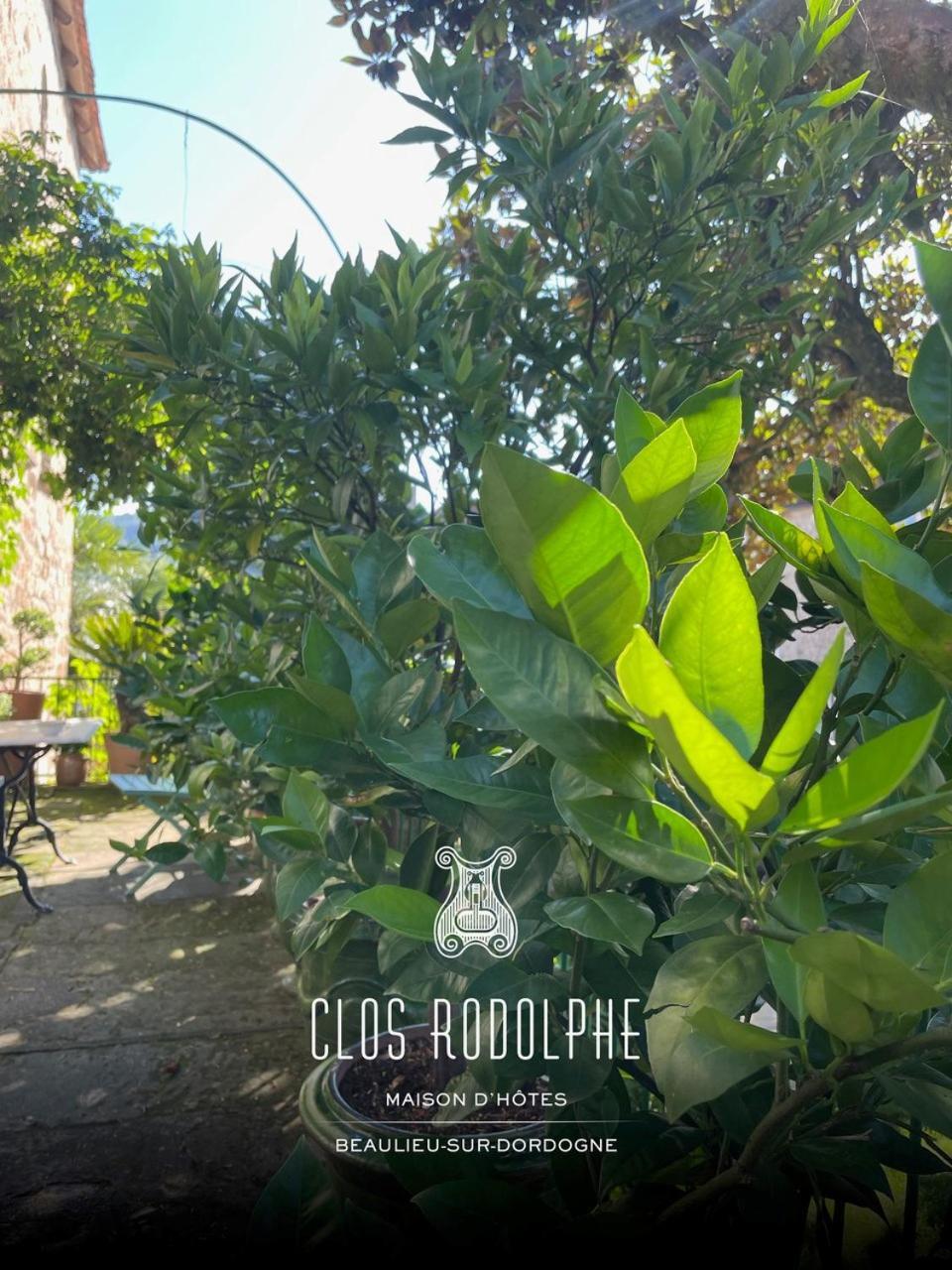 Le Clos Rodolphe 多尔多涅河畔波里耶 外观 照片